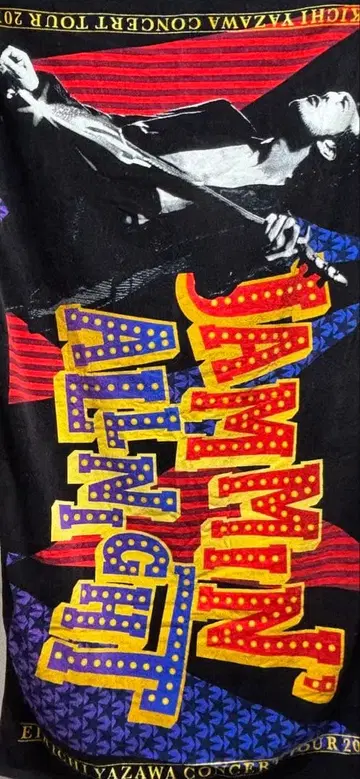 야자와 에이요시 콘서트 투어 2010 SBT