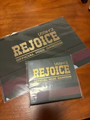 Officialdism [ REJOICE ] CD 클리어 파일 포함