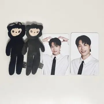 EXO 카이 트레이딩 카드 봉제 인형 니니베어 KAION 카이온