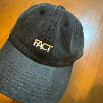 FACT deviluse 캡