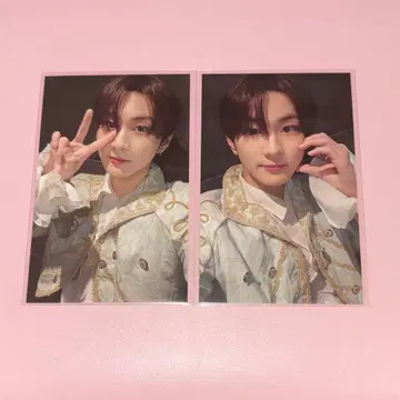 정원 트레이딩 카드