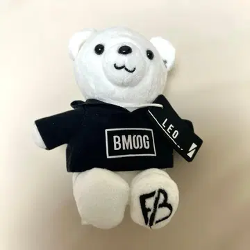 LEO 레오 BE:FIRST 곰