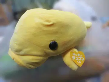 택 포함 모찌푸니 듀공 군 봉제 인형 (옐로우 컬러) 58cm!BIG!