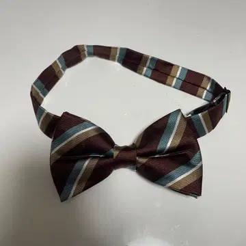 Fiore Bianca 나비 넥타이 남성용 결혼식