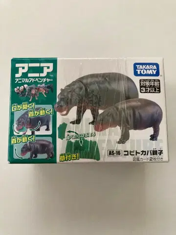 아니아 피그미하마 단종