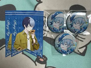 프로세카 글리터 캔뱃지 그리 46B 아오야기 토야