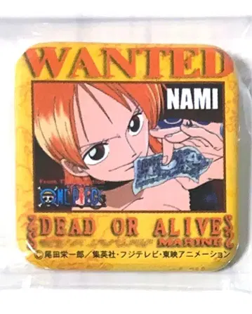 ONE PIECE 원피스 스퀘어 캔뱃지 나미