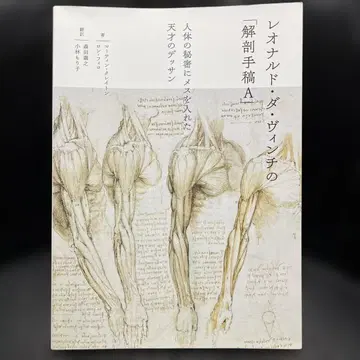 레오나르도 다 빈치의 해부 수고 A