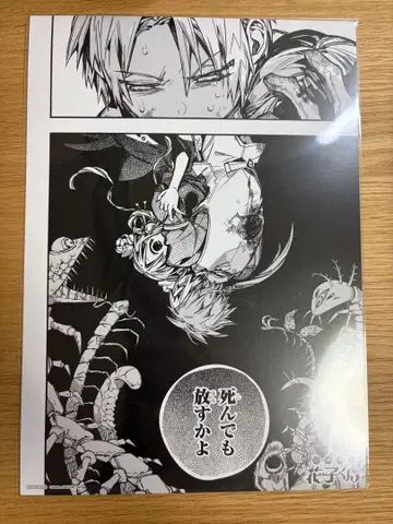 지박소년 하나코 군 명장면 카드 아오이 아카네 아오이