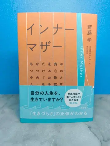 이너 마더 사이토 마나부