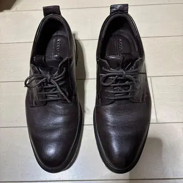 ecco TRAY TECH 가죽 신발 다크 브라운 EU40