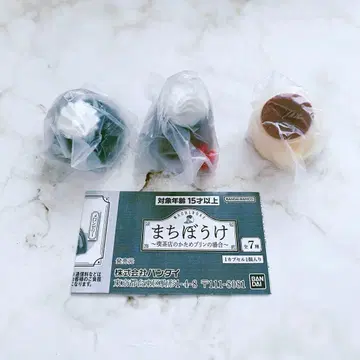 기다림 ~카페의 단단한 푸딩의 경우~ 3개 세트