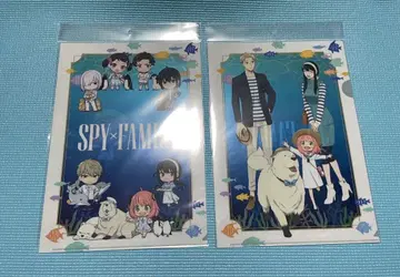 SPY x FAMILY 핫케이지마 시 파라다이스 클리어 파일 2종