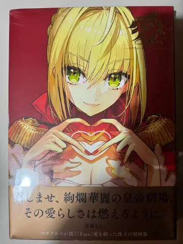 와다 아르코 화집 [ 아이 -와다 아르코 Fate ART WORKS- ]