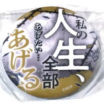 MyGO!!!!! 합동 라이브 대사 캔뱃지 도리스 삼각형 초화