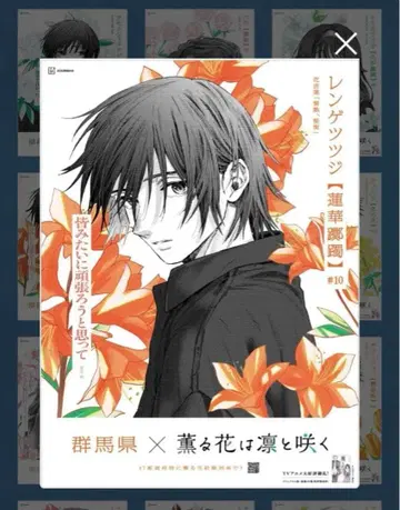 향기로운 꽃은 늠름하게 피다 나츠사와 사쿠 아사히신문 군마