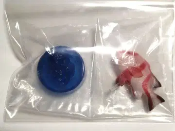 [ 레어 미개봉 ] 카이요도 일본 수족관 입체 생물 도감 센넨다이 피규어