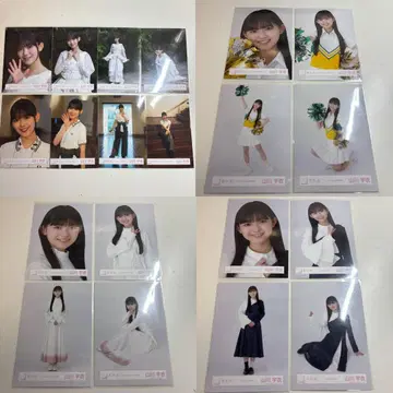 사쿠라자카46 야마카와 우이 신참자 20종 풀컴프