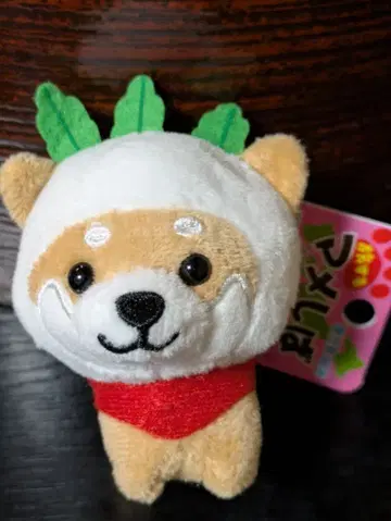 여행하는 마메시바 가고시마 한정판 사쿠라지마 무 버전