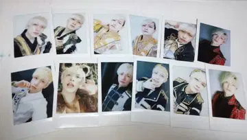 팬더드래곤 요타 폴라로이드 12장 세트