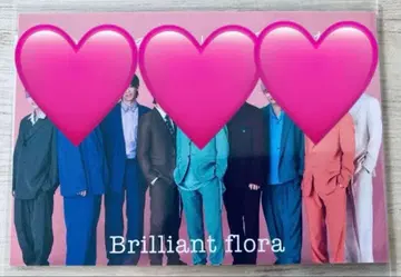 초특급 Brilliant Flora 집합 트레이딩 카드 카드