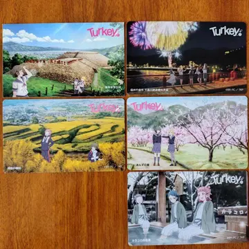 애니메이션 Turkey 터키 디자인 카드 5장 세트 치쿠마시