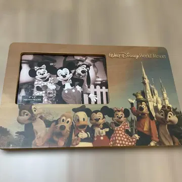 Walt Disney World Resort 사진 프레임