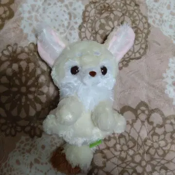 쵸콘과 페넥 여우 아기