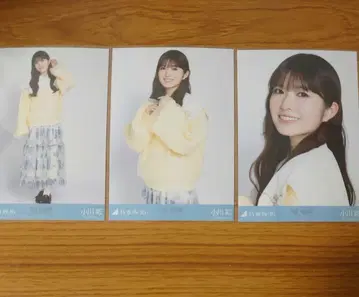 노기자카46 브로마이드 오가와 아야 카라 부착 코디 컴프