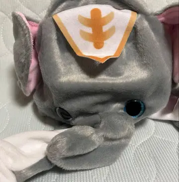 [ 한정판 SALE ] [ 키노시타 서커스 한정판 ] 코끼리 파타파타 캡