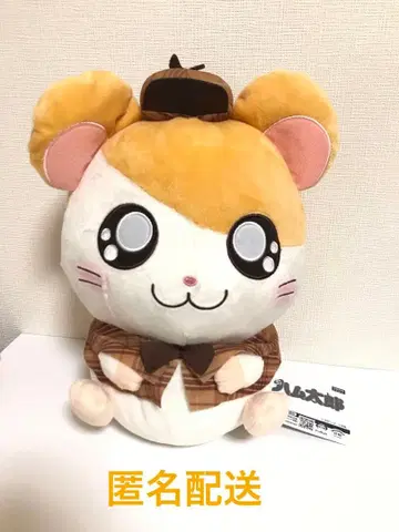 햇살이 따라서 명탐정 BIG 봉제 인형