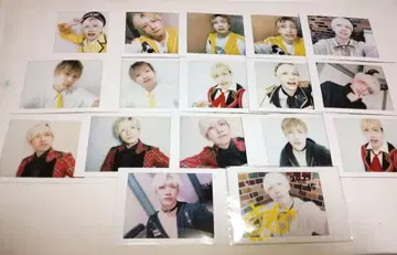 팬더드래곤 요우타 폴라로이드 16장 세트