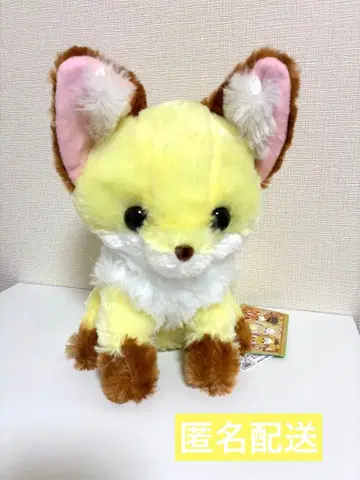 쪼콘토 여우 아카짱 봉제 인형 콘페이토 키타키츠네