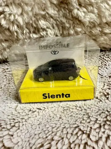 도요타 시엔타 키링 블랙