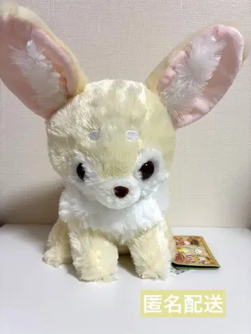 쵸콘과 여우 아카짱 호론 페넥