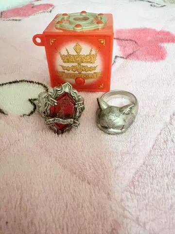 가정교사 히트맨 REBORN! 고쿠데라 하야토 링 박스 묶음 판매 레어