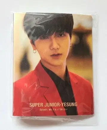 SUPER JUNIOR 예성 트레이딩 카드 폴더
