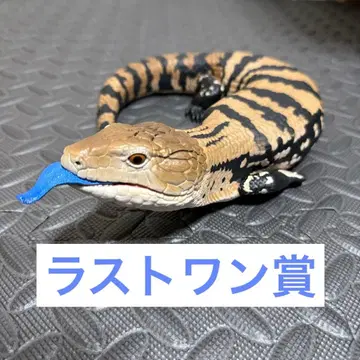 파충류 제일복권 라스트 원상 아오지타 도마뱀 피규어 벱