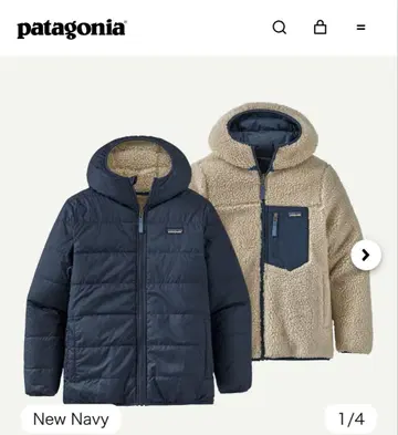 Patagonia 플리스 후디