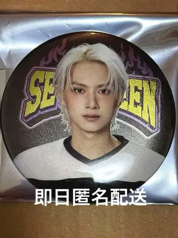 SEVENTEEN HOME 2025 캔뱃지 준