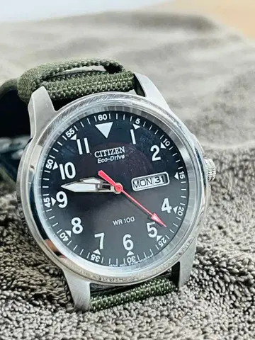 CITIZEN EcoDrive WR100