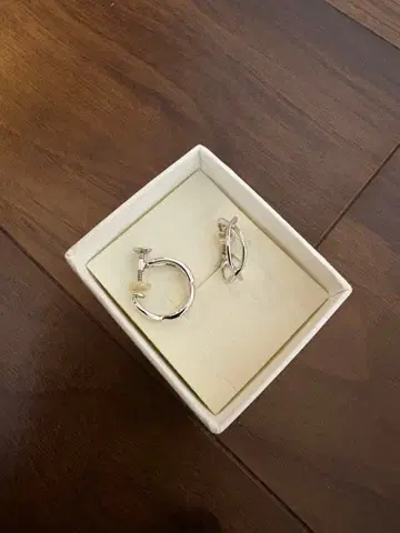 뱅돔 아오야마 귀찌