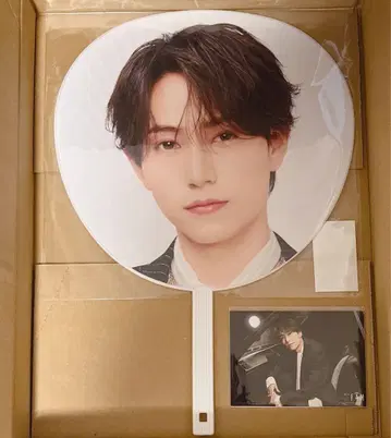 timelesz 하시모토 쇼세이 부채