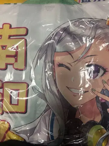 온천 소녀 핫피 미나미치타 마유노