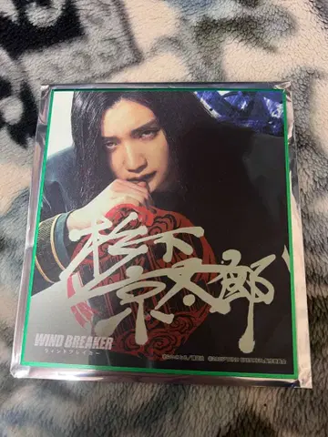 Wind Breaker 미니 색지 스기시타 쿄타로 JUNON