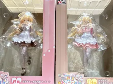 다이토 복권 한낮의 업무 체험 A상 LH상 2종 세트