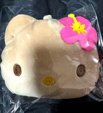 산리오 일광화상 키티 카라비너 달린 지퍼 마스코트