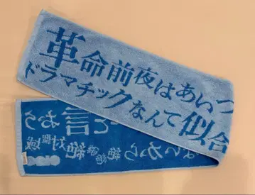 혁명 전야에는 그 녀석의 역겨운 부분을 말하자 타월