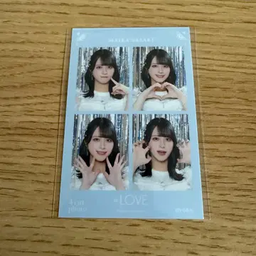 사사키 마이카 4컷 사진