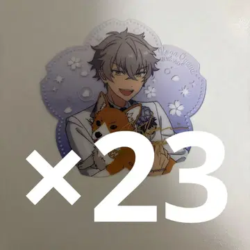 꽃 동반 클리어 카드 오오가미 코가